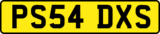 PS54DXS