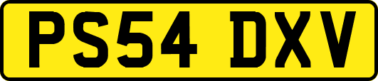 PS54DXV
