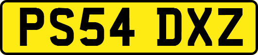 PS54DXZ