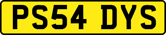 PS54DYS