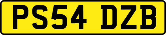PS54DZB