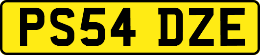 PS54DZE