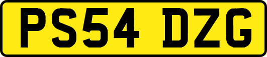PS54DZG