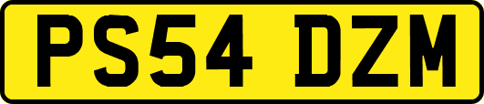 PS54DZM