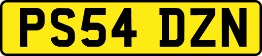 PS54DZN