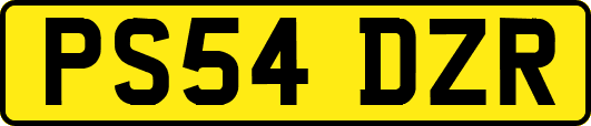 PS54DZR