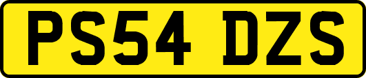 PS54DZS