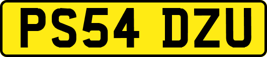 PS54DZU