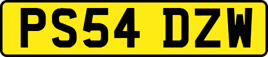 PS54DZW