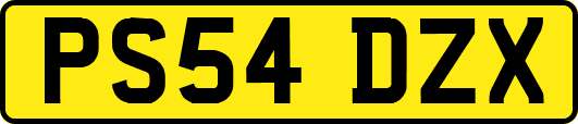 PS54DZX