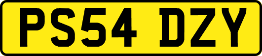PS54DZY