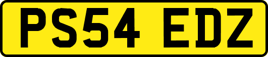 PS54EDZ