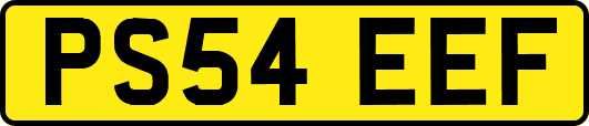 PS54EEF