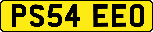 PS54EEO