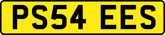 PS54EES