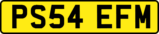 PS54EFM