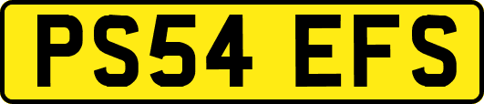 PS54EFS