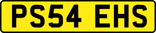 PS54EHS