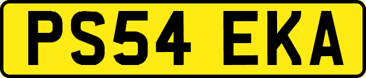 PS54EKA