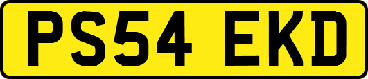 PS54EKD