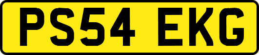 PS54EKG