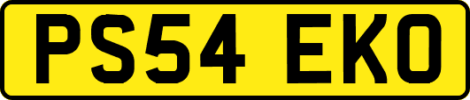 PS54EKO
