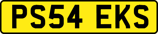 PS54EKS