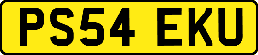 PS54EKU