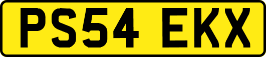 PS54EKX
