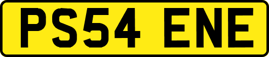 PS54ENE