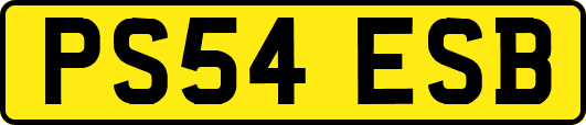 PS54ESB