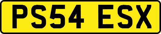 PS54ESX