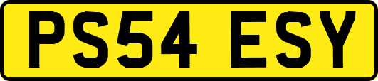 PS54ESY