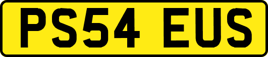 PS54EUS