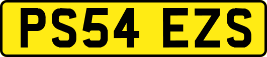 PS54EZS