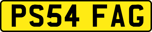 PS54FAG