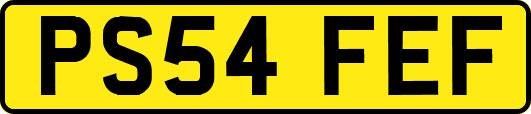 PS54FEF