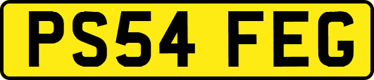 PS54FEG