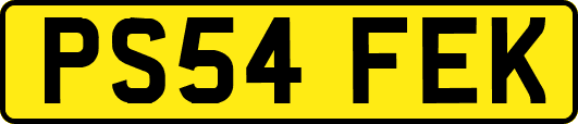 PS54FEK