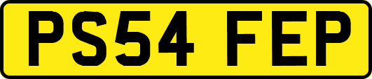 PS54FEP