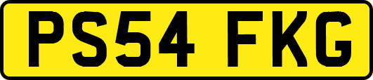 PS54FKG