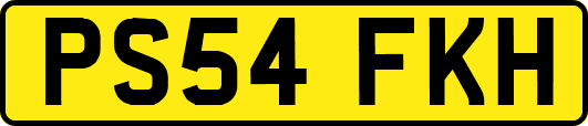 PS54FKH