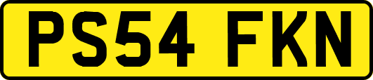 PS54FKN