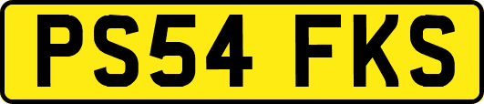 PS54FKS