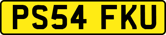 PS54FKU