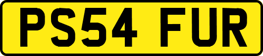 PS54FUR