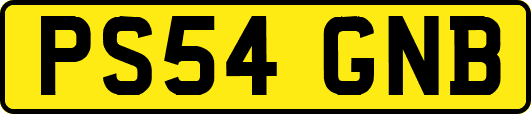 PS54GNB