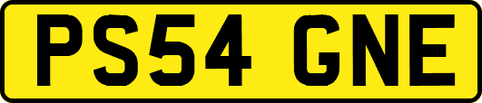 PS54GNE