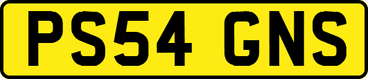 PS54GNS