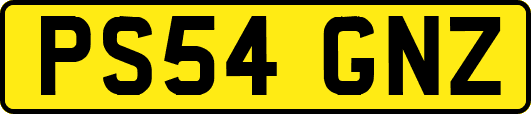 PS54GNZ